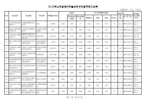 2016年山东省潍坊市重点技术改造项目汇总表