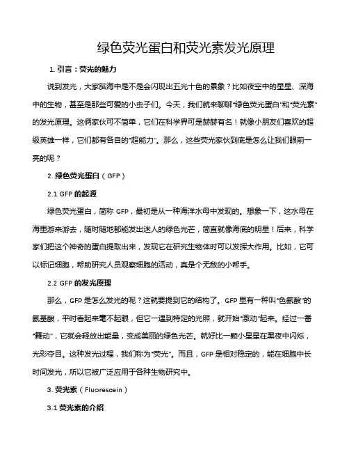 绿色荧光蛋白和荧光素发光原理