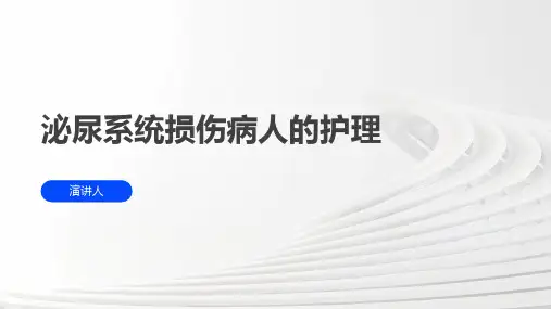 泌尿系统损伤病人的护理ppt课件