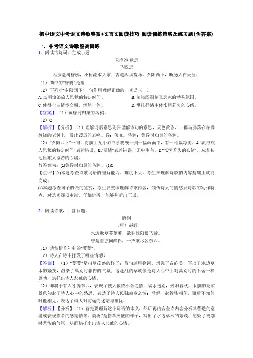初中语文中考语文诗歌鉴赏+文言文阅读技巧 阅读训练策略及练习题(含答案)
