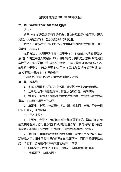 盐水测试方法20131015[模版]