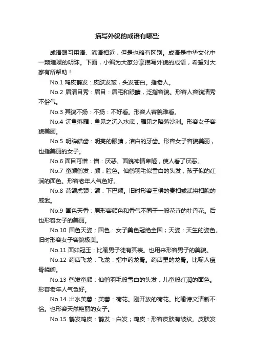描写外貌的成语有哪些