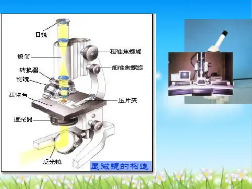 细胞概述、细胞膜和细胞壁ppt 浙科版