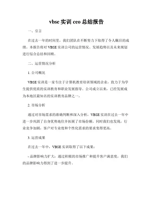 vbse实训ceo总结报告