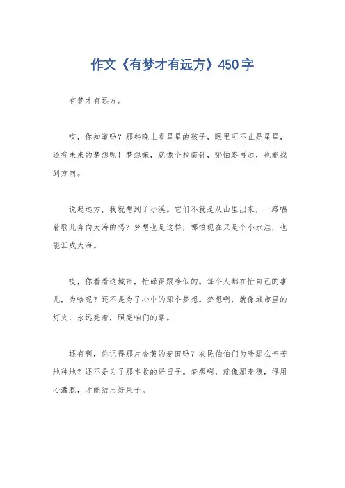作文《有梦才有远方》450字