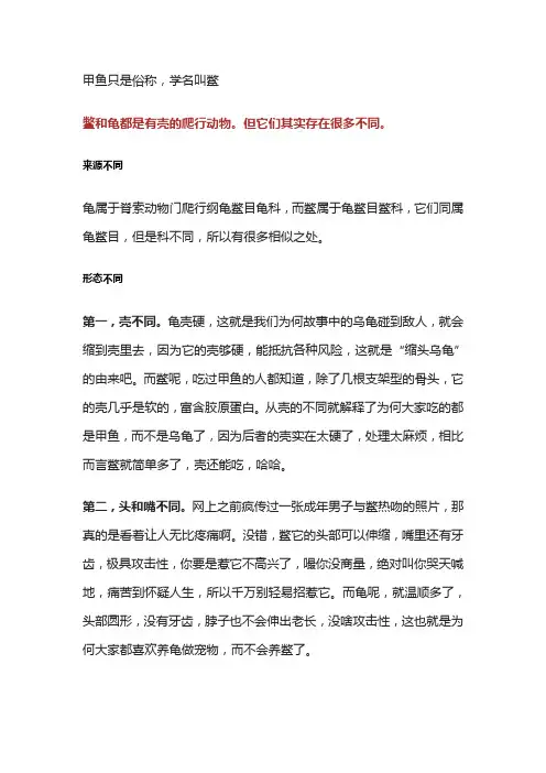 甲鱼和乌龟有什么区别