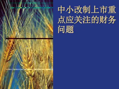 中小企业改制上市IPO重点应关注的财务问题
