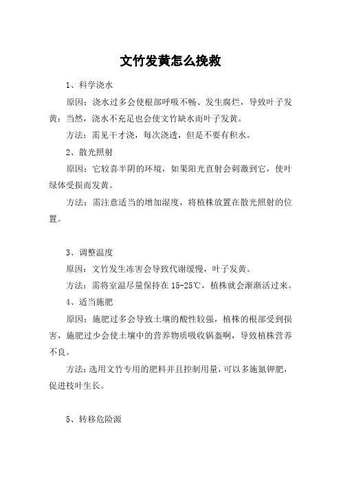 文竹发黄怎么挽救