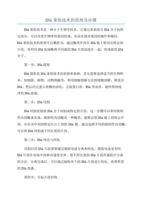 DNA重组技术的原理及步骤