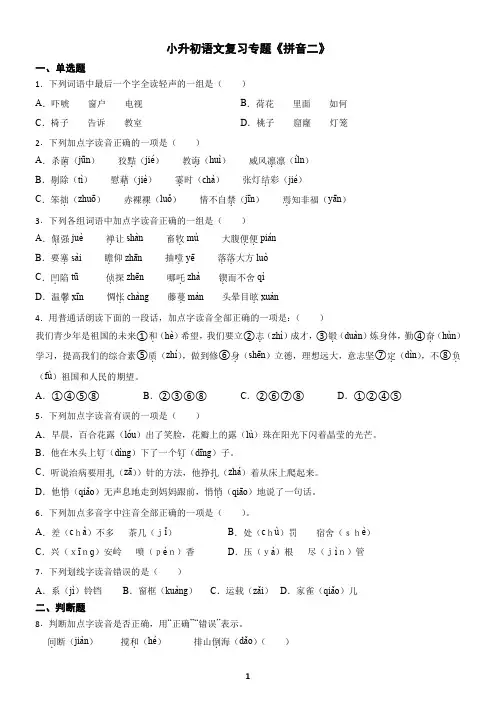 小升初语文复习专题《拼音2》练习及答案