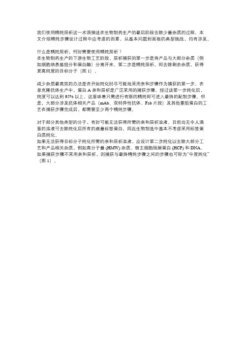 药物分离纯化的一般工艺流程