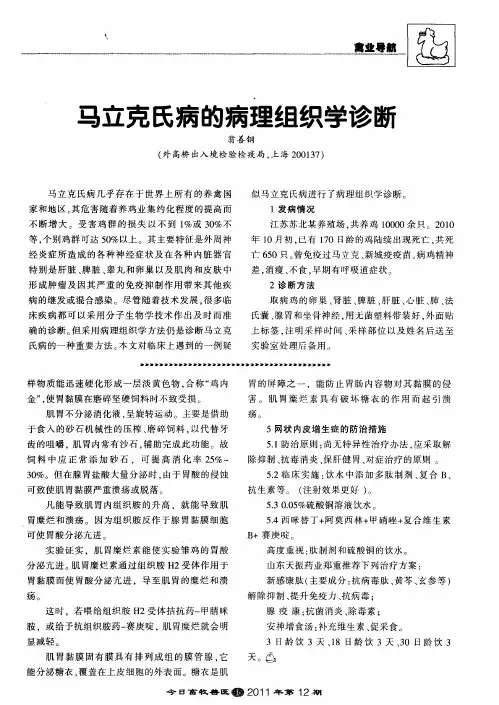 马立克氏病的病理组织学诊断