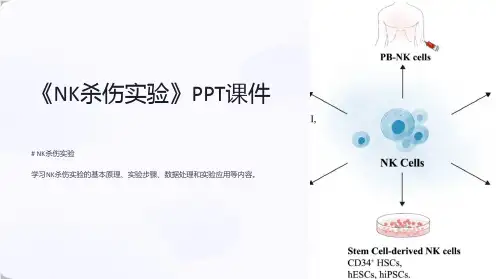 《NK杀伤实验》课件