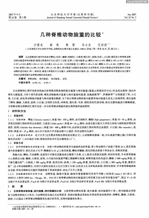 几种脊椎动物脑重的比较