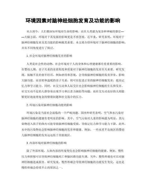 环境因素对脑神经细胞发育及功能的影响