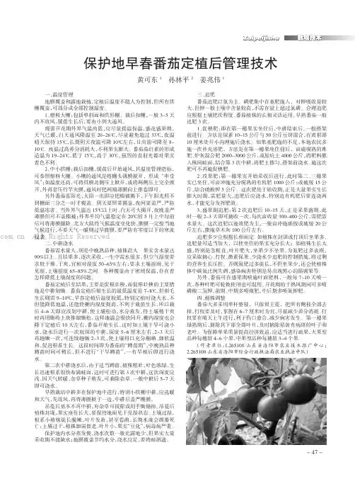 保护地早春番茄定植后管理技术