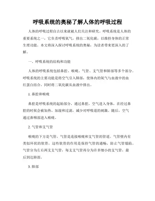 呼吸系统的奥秘了解人体的呼吸过程