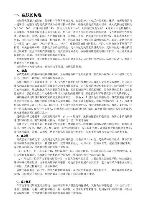 美容皮肤生理学