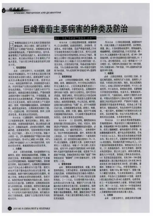 巨峰葡萄主要病害的种类及防治