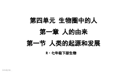 人教版七年级生物下册--4
