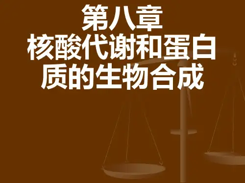 第八章核酸代谢和蛋白质的生物合成ppt课件