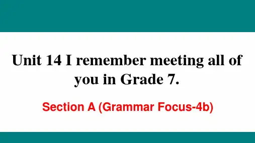 人教版新目标九年级下册英语Unit14 Section A (Grammar Focus-4b)课件