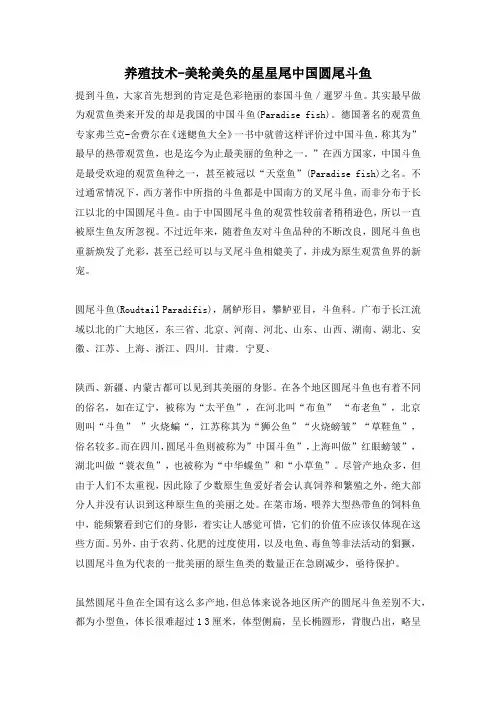 养殖技术-美轮美奂的星星尾中国圆尾斗鱼