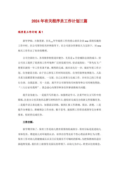 2024年有关程序员工作计划三篇