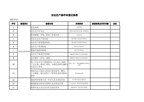 安全生产条件检查记录表(样表)2024