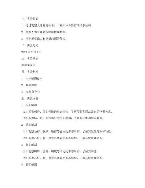 人体解刨实验报告