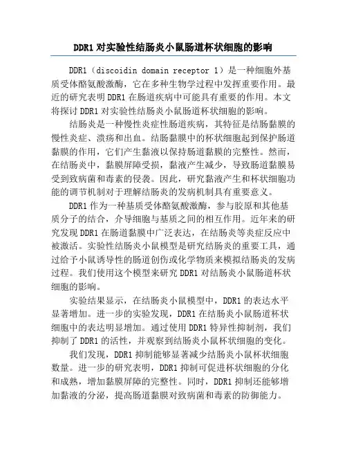 DDR1对实验性结肠炎小鼠肠道杯状细胞的影响