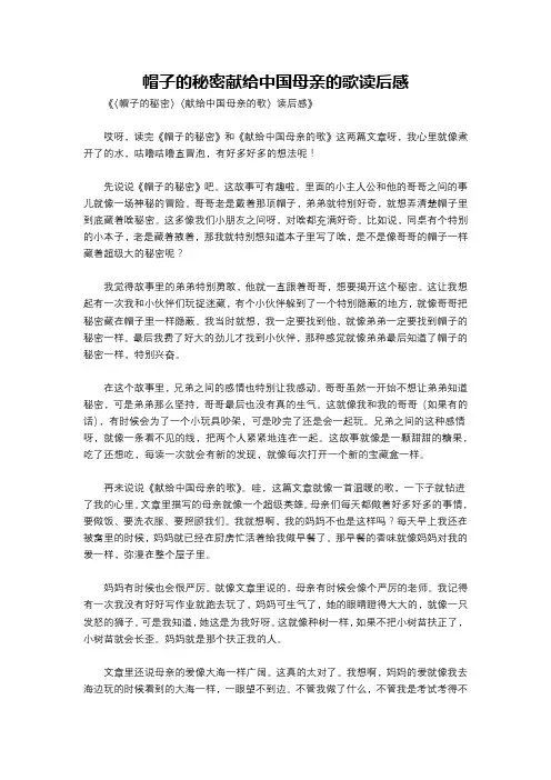 帽子的秘密献给中国母亲的歌读后感