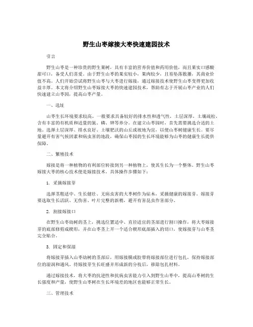 野生山枣嫁接大枣快速建园技术