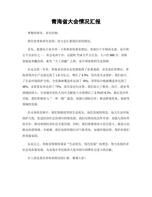 青海省大会情况汇报