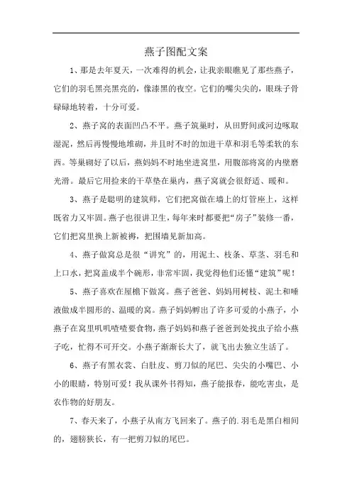 燕子图配文案