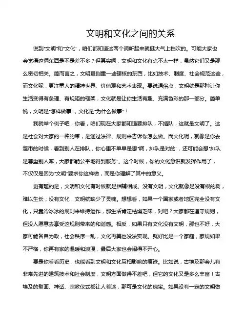 文明和文化之间的关系