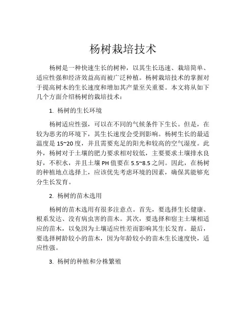 杨树栽培技术