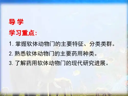 软体动物门PPT课件