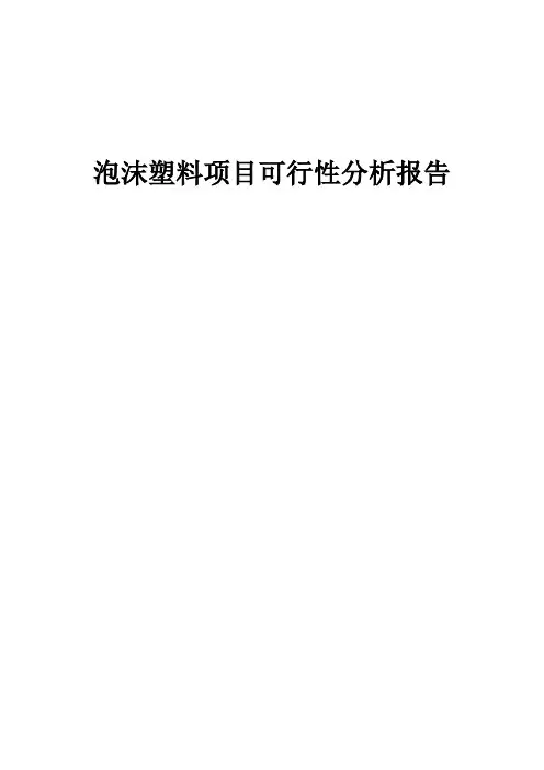 2024年泡沫塑料项目可行性分析报告