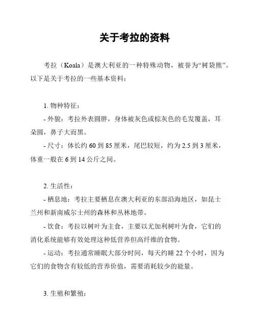 关于考拉的资料