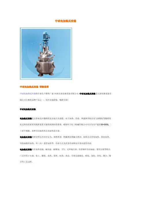 中试电加热反应釜