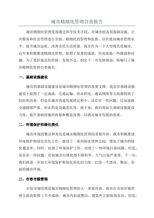 城市精细化管理自查报告
