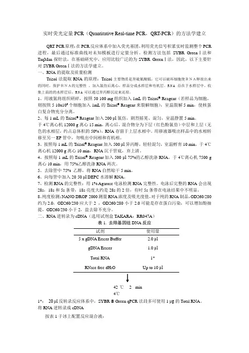 实时荧光定量PCR的方法学建立