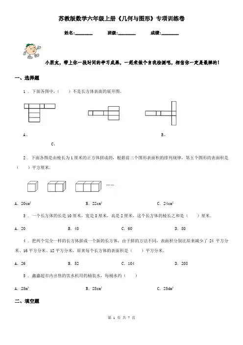 苏教版-数学六年级上册《几何与图形》专项训练卷
