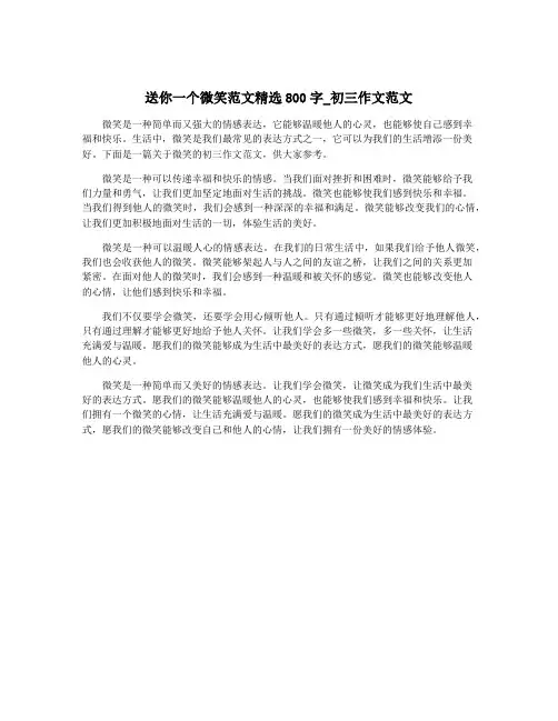 送你一个微笑范文精选800字_初三作文范文