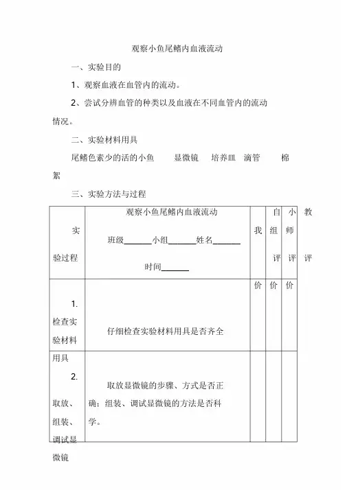 新版观察小鱼尾鳍内血液流动实验设计课件.doc