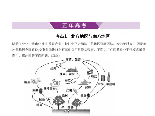 2021年新课标(老高考)地理复习练习课件：专题十九 中国地理  第二讲 中国地理分区
