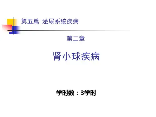 内科学讲课复件第五篇第二章肾小球疾病精品PPT课件