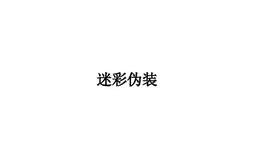迷彩伪装ppt课件
