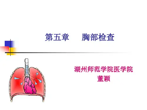 肺部检查(1)